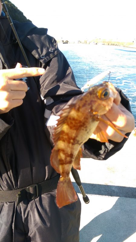 なんとか釣れました(^_^)v